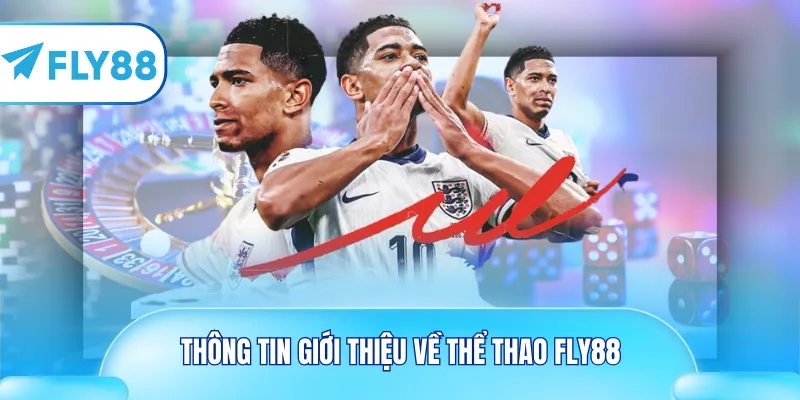 Thông tin giới thiệu về thể thao Fly88