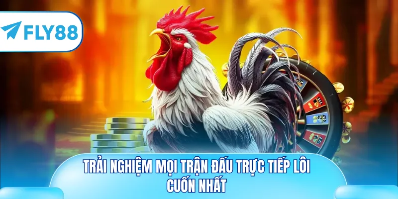 Trải nghiệm mọi trận đấu trực tiếp lôi cuốn nhất